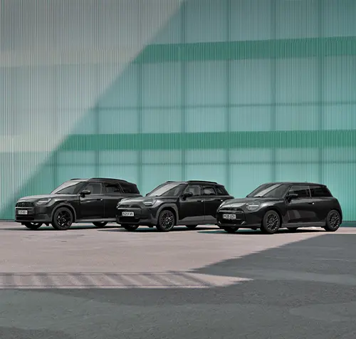 Auto-Leebmann MINI Blackyard Family