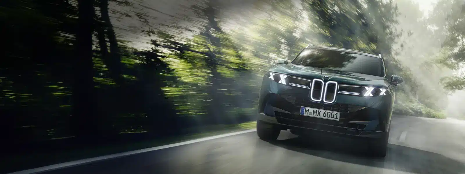 Leebmann Passau Deggendorf Hauzenberg BMW X5