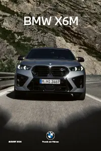 BMW Preisliste X6M